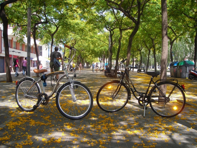  urban bikes 